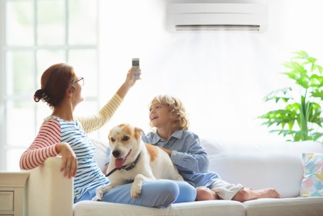 Ductless Mini-Split Systems