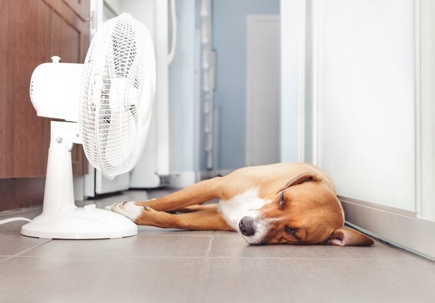 HVAC Problems in Summer